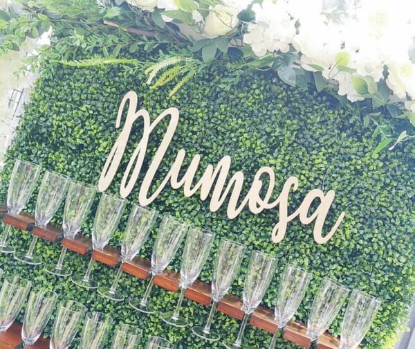 Garden Party Event Wooden Sign, Extra Large Sign FOR Prosecco, Donut, Flower Wall **SIGN ONLY** Event Decor Backdrop Sign - Image 3