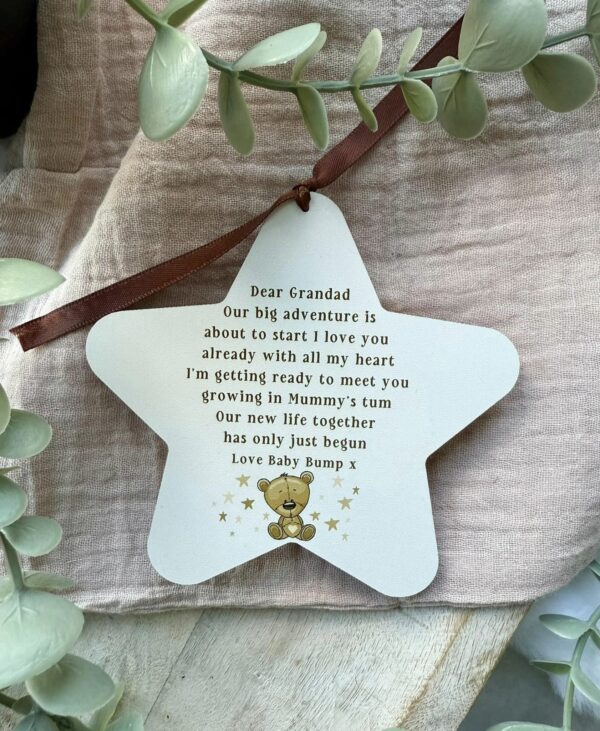 Grandparent Bear To Be Our Big Adventure Hanging Star (PR) - Image 3