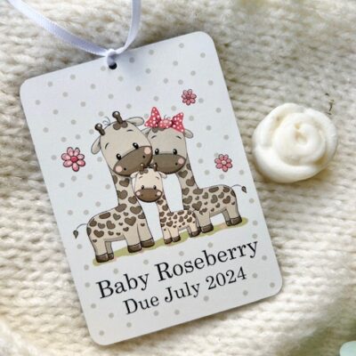 Baby Pregnancy Announcement Plaque Decoration (PR)