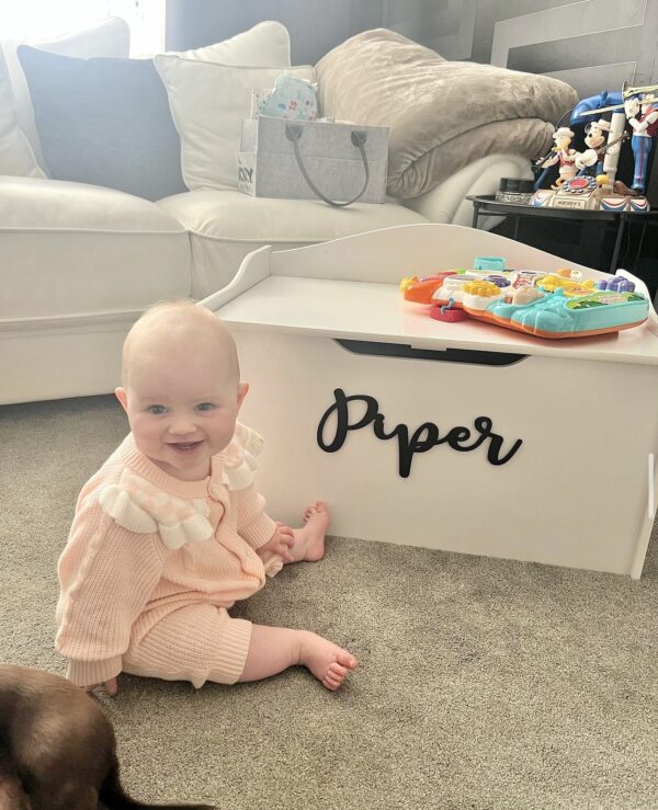 Wooden TOY BOX Name Sign - Various Sizes