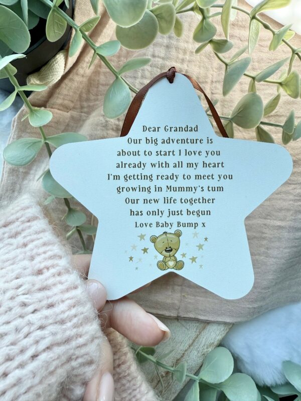 Grandparent Bear To Be Our Big Adventure Hanging Star (PR) - Image 2