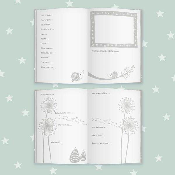 fytm f2a e earlyyearsgrey doublespreads 1